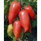 Корнабел F1 насіння томата індет. середнього перцев. 180-250 гр. (Vilmorin)