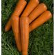 Октаво F1 (VD калибр.16-18мм) семена моркови Нантес средней 120-130 дн. (Vilmorin)