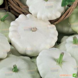 Малахіт насіння патисона середнього білого (Яскрава)