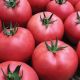Балабан F1 насіння томату індет. рожевого 300-350 гр.