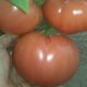 Балабан F1 насіння томату індет. рожевого 300-350 гр.