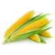 Сахарная семена кукурузы сладкой ранней 75-85 дн. 160-170 гр. 16-20 см (Професійне насіння)