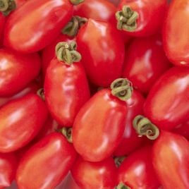 Рожева сливка насіння томата індет середнього 100-110 дн слив 50-70 гр рож (Професійне насіння)