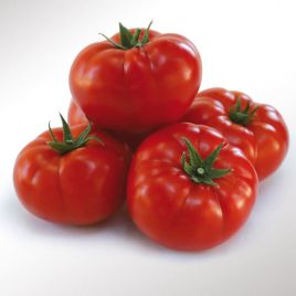 КС 206 F1 (KS 206 F1) насіння томату раннього (Kitano Seeds)