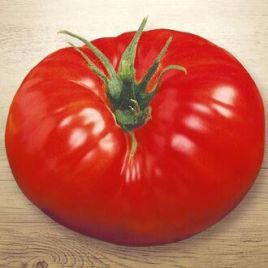 Король гігантів насіння томата індет середнього 110-120 дн 450-800г (Семена Украины)