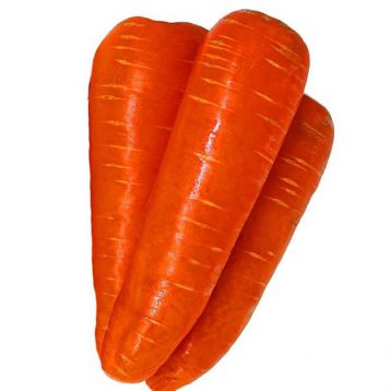 Морковь Нью Курода (2,4) 