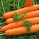 Морковь Ортолано 