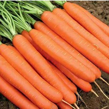  Морковь Ханиснекс F1 (1,8-2,0) 