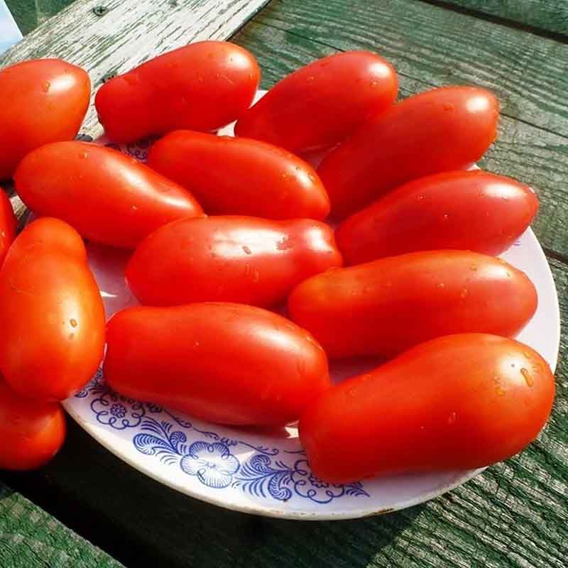 Семена томатов пальчики