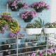 Квітучий балкон
