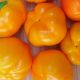 Перец сладкий Солнышко оранжевое 