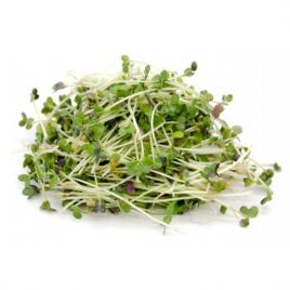 Мікрозелень (мікрогрін) гірчиці салатної коричнево-зеленої