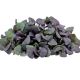 Микрозелень (микрогрин) фиолетового базилика