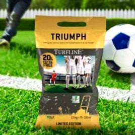 Газонная трава Триумф (Triumph) для спортивных объектов