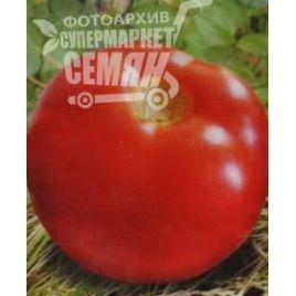 Кармелита F1 семена томата индет (Элитный ряд)