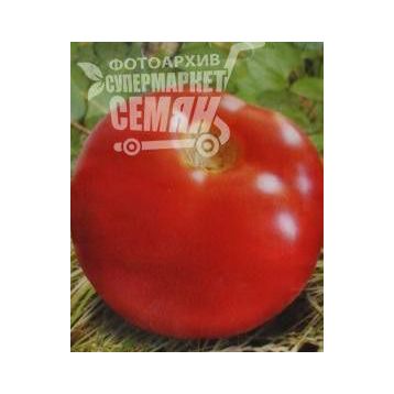 Кармелита F1 семена томата индет (Элитный ряд)