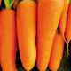 Морковь СВ 7381 ДХ F1 (SV 7381 DH F1) (1,8-2,0) 