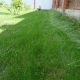 Сан (SUN) семена газонной травы для засушливых районов (Универсал)