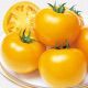 Тойо F1 (Маматаро Голд F1,Ti–169 F1) насіння помідора індетермінантного (Takii Seeds)