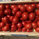 9969 F1 насіння томата детермінантного (Lark Seeds)