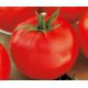 Консул F1 насіння томата індет (Елітний Ряд)