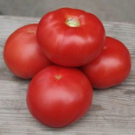 Семен F1 насіння томата дет (Елітний Ряд)