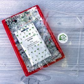 Набір для вирощування мікрозелені Біт (1 урожай) (лоток + килимок + буряк) 