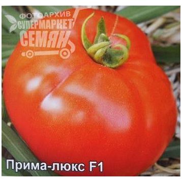 Томат Прима-люкс F1 семена купить детерминантный, ранний Элитный ряд, цена в интернет-магазине Супермаркет Семян