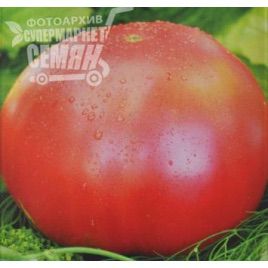 Малиновый гигант семена томата индет розового (Элитный ряд)