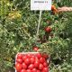 Вулкан F1 семена томата дет. среднего 110-120 дн. слив. 65-75 гр. красный (Nunhems)