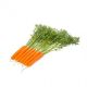 Имер F1 (1,6-1,8) семена моркови Нантес средней 120 дн. 18-20 см (Rijk Zwaan)