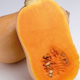 Жаклін F1 насіння гарбуза тип Баттернат середньої 1,5-1,7 кг (Enza Zaden)