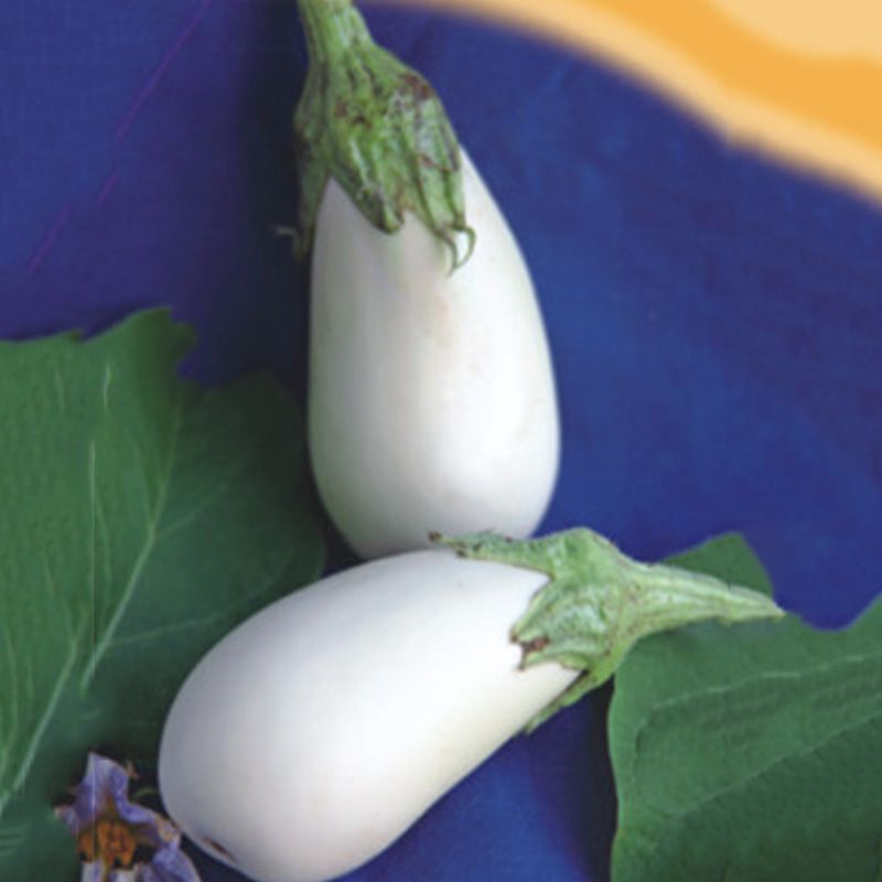 Баклажан Белая лилия семена купить (Геліос), цена в интеренет-магазине -Супермаркет Семян