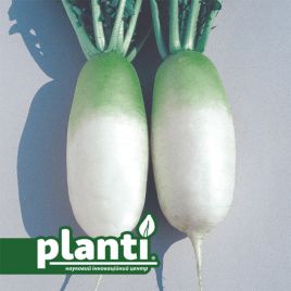 ПЛ 440 F1 (PL 440 F1) насіння редьки 65-70 дн. 1300 гр. циліндр. біл. (Asia Seed)