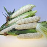 Эден F1 семена кукурузы суперсладкой Sh2 ранней 72-74 дн. 21 см 16-18 р. бел. (Crookham Company)