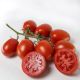 Рева F1 насіння помідора індетермінантного (Vilmorin)