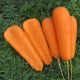 Боливар F1 (инкруст.1,8) семена моркови Шантане средней (Clause)