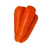 Морковь Нью Курода (1,4-1,6) 