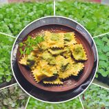 Микрозелень Листовой салат зеленый 