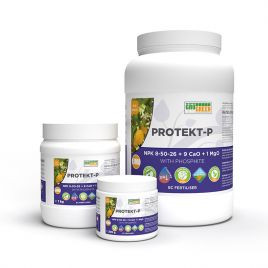 Протект-П Гель (Gel Protect-P) биостимулятор роста (GroGreen)