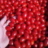Дольчесио F1 семена томата дет. черри среднего 95-105 дн. 20 гр. красный (Esasem)
