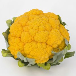 Клементин F1 семена капусты цветной средней 65-75 дн. 2,0-2,5 кг оранж. (Syngenta)