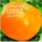 Руслан семена томата дет оранжевого (Элитный ряд)