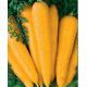 Лоберишер семена моркови Флакке (Hortus)