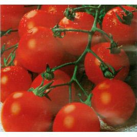 Садовая жемчужина семена томата дет. черри (Satimex)