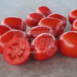 Фоккер F1 насіння томату дет. дражоване (Bayer Nunhems)