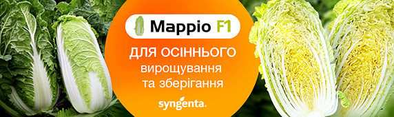 Пекінська капуста Марио F1